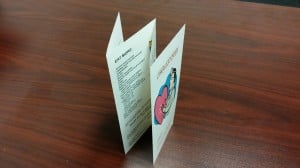 Accordian fold brochure 1