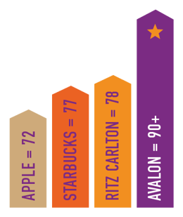 NPS bar graphs-01